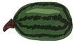 Large Green Watermelon